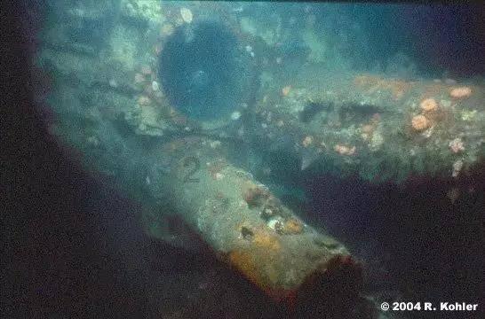 熊仔之熊猫大侠修行路